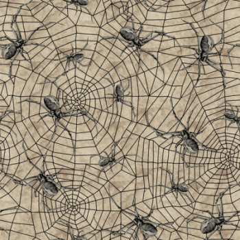Deja Boo - Taupe Spiders