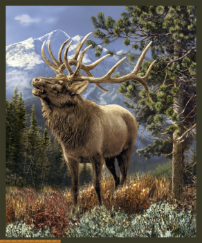 One Of A Kind - Hirsch - Panel 90 x 112 cm