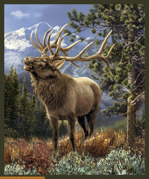 One Of A Kind - Hirsch - Panel 90 x 112 cm